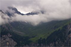 grüne, neblige Alpen