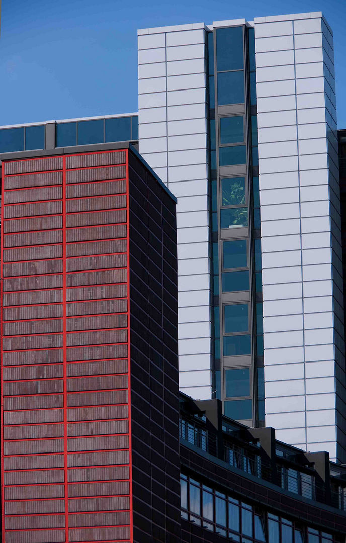 Grüne Oase im Hochhaus