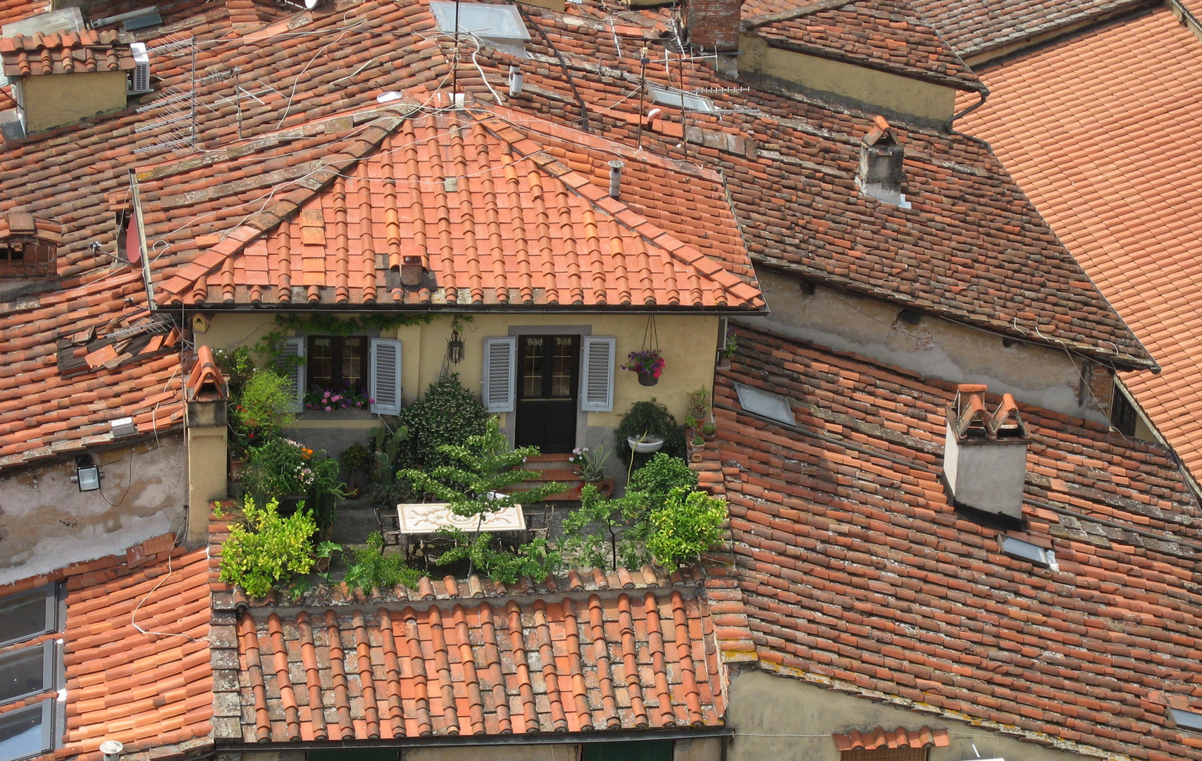 grüne Oase über den Dächern von Lucca