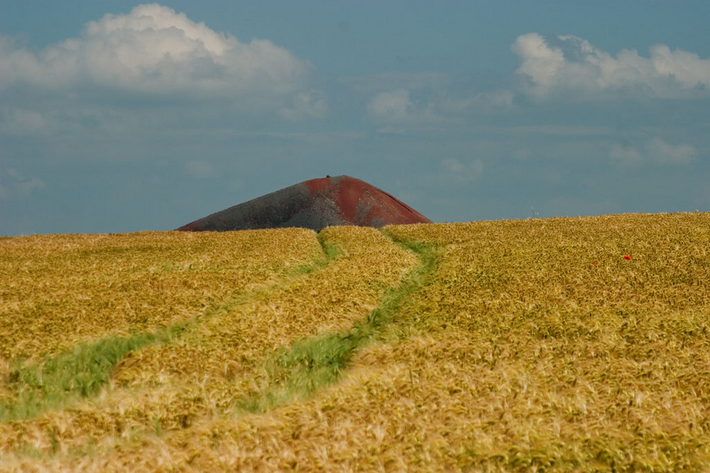 Grüne Pfade, rostige Hügel und roter Mohn