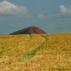 Grüne Pfade, rostige Hügel und roter Mohn