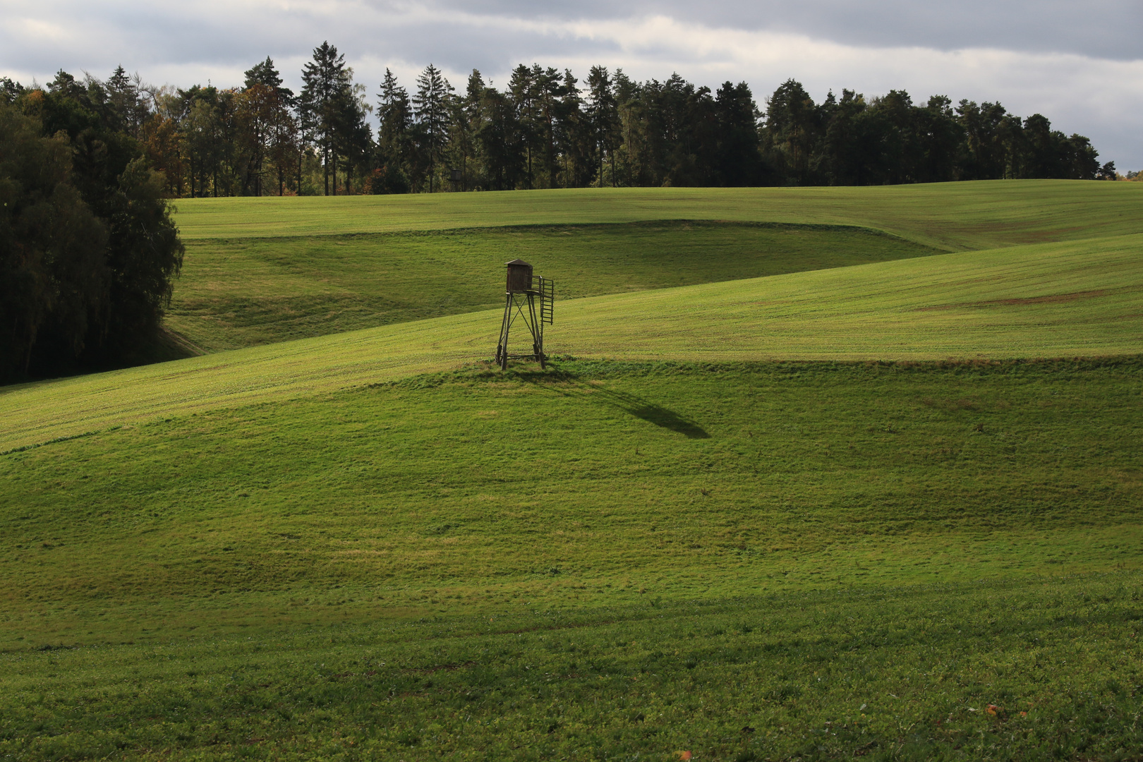 grüne Ruhe