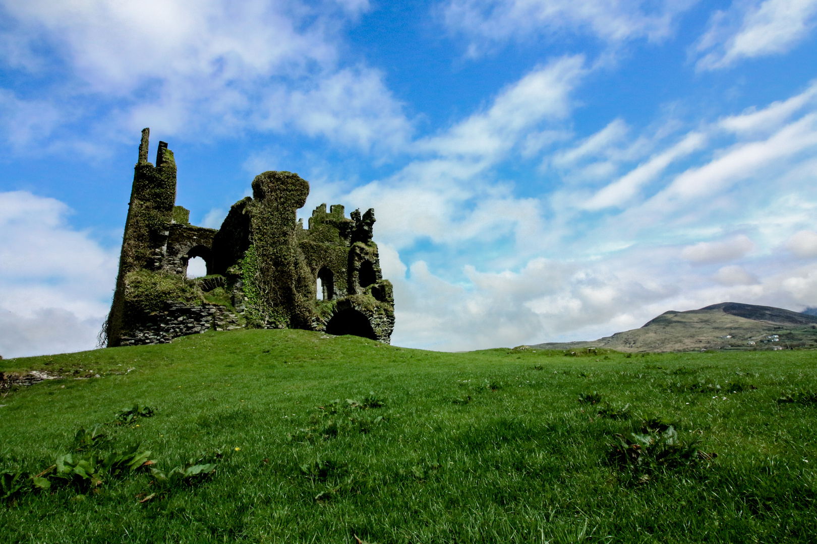 Grüne Ruine