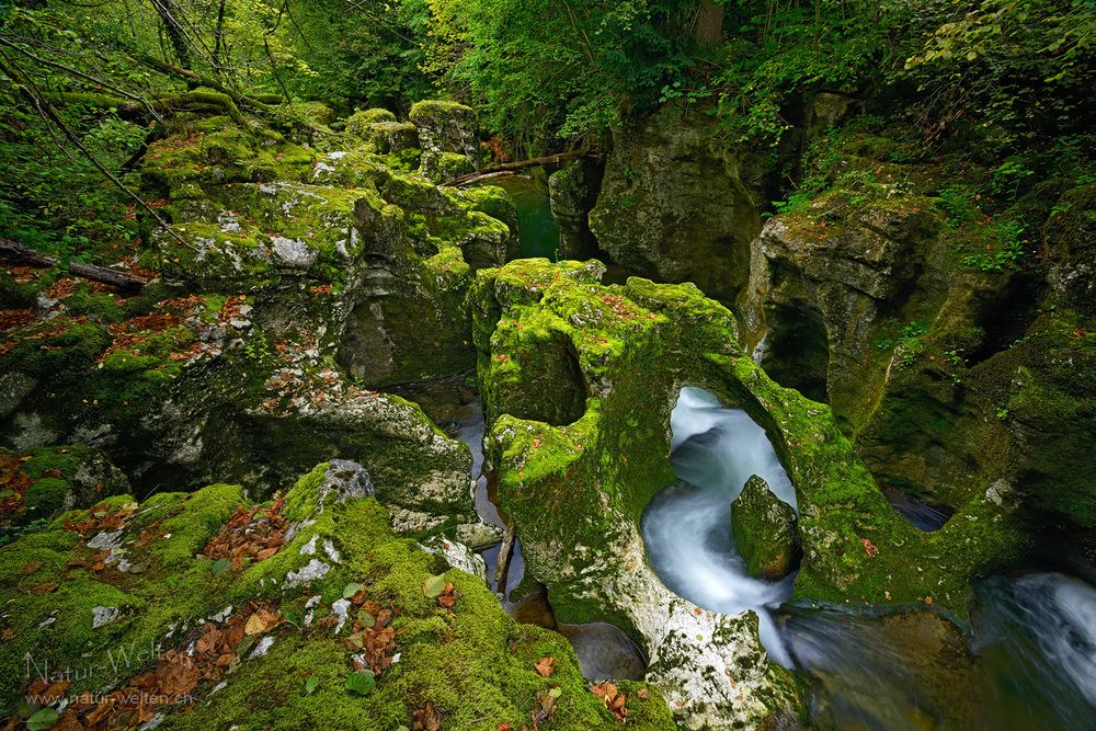 Grüne Schlucht