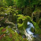 Grüne Schlucht