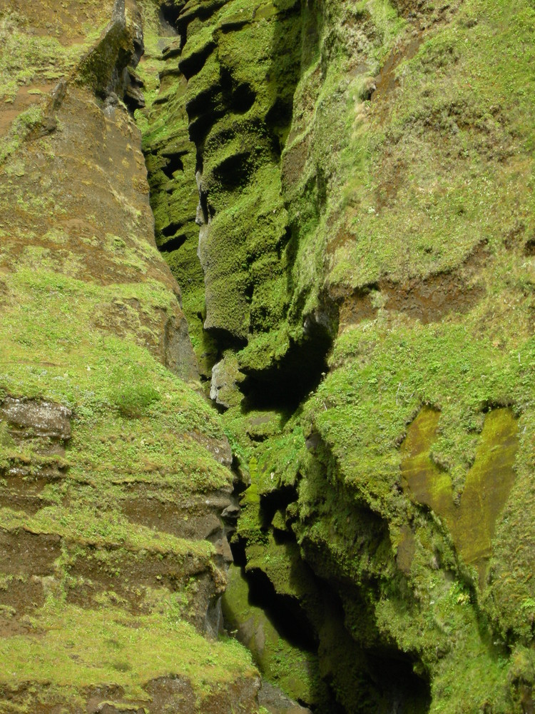 grüne Schlucht ... mit Herz