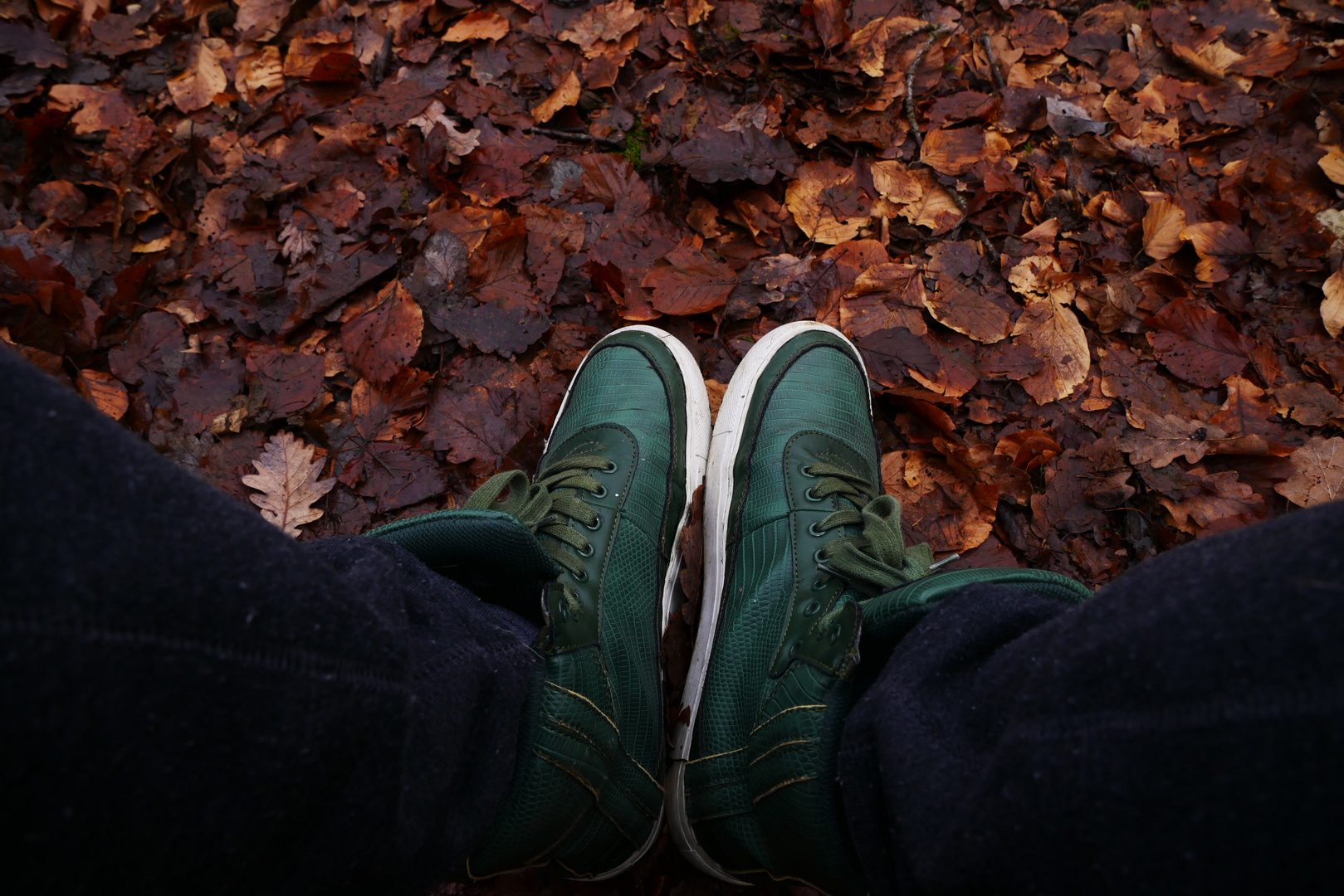 Grüne Schuhe  auf Herbstlichen Untergrund...