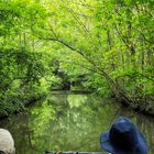 Grüne Spiegelung im Marais Poitevin