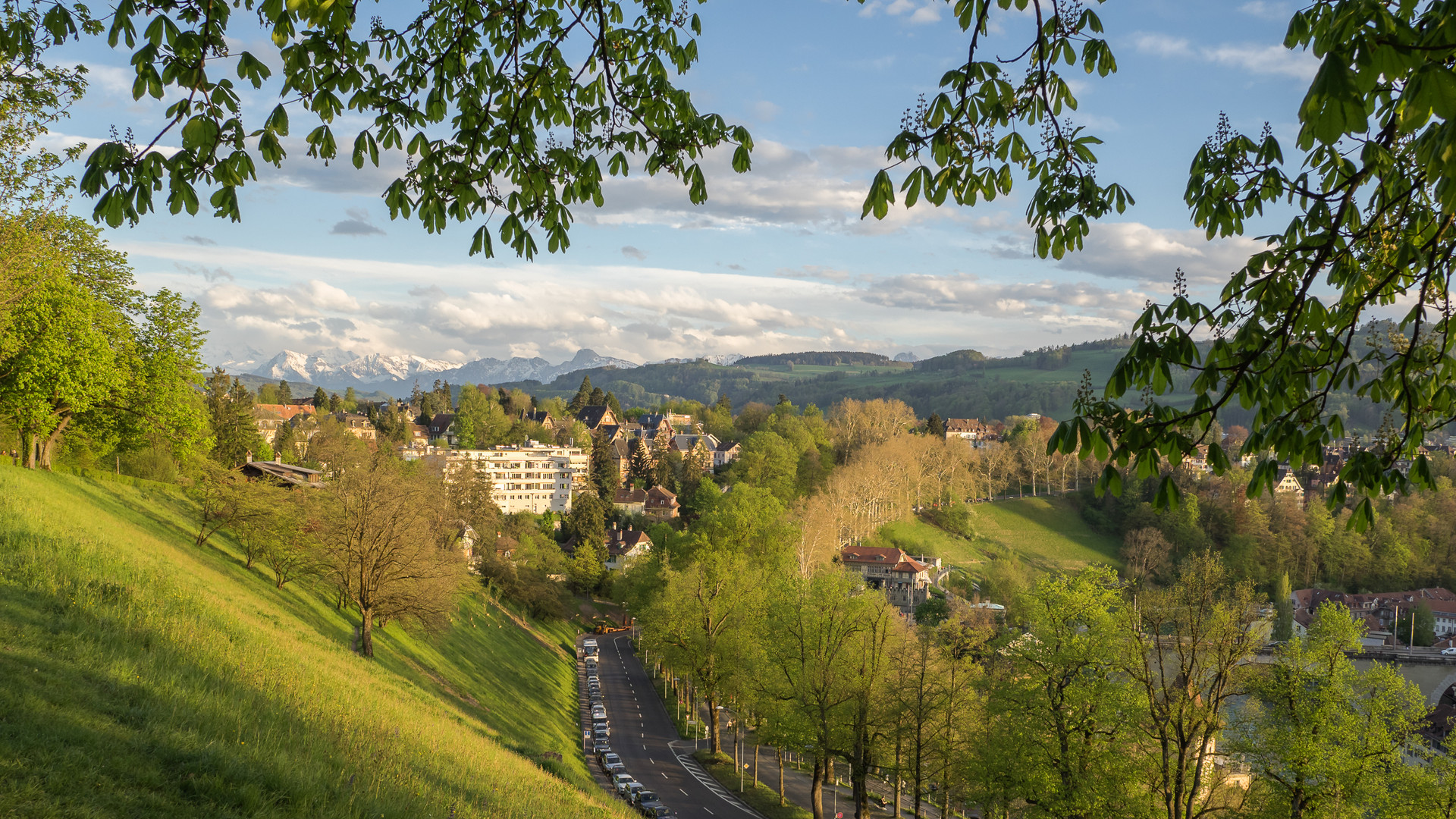 grüne Stadt