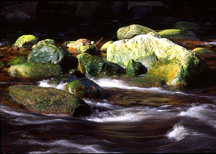 Grüne Steine im Fluss