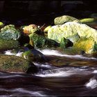 Grüne Steine im Fluss