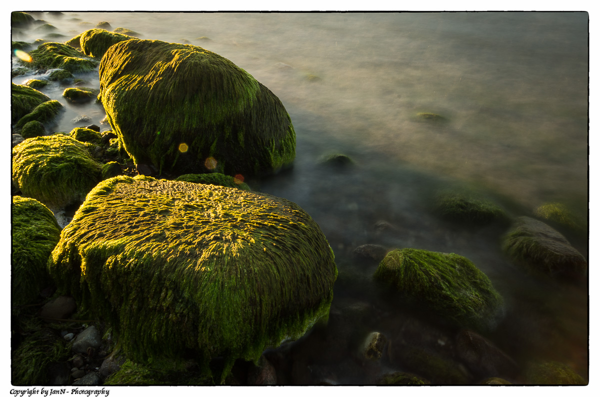 Grüne Steine - Rügen 2013