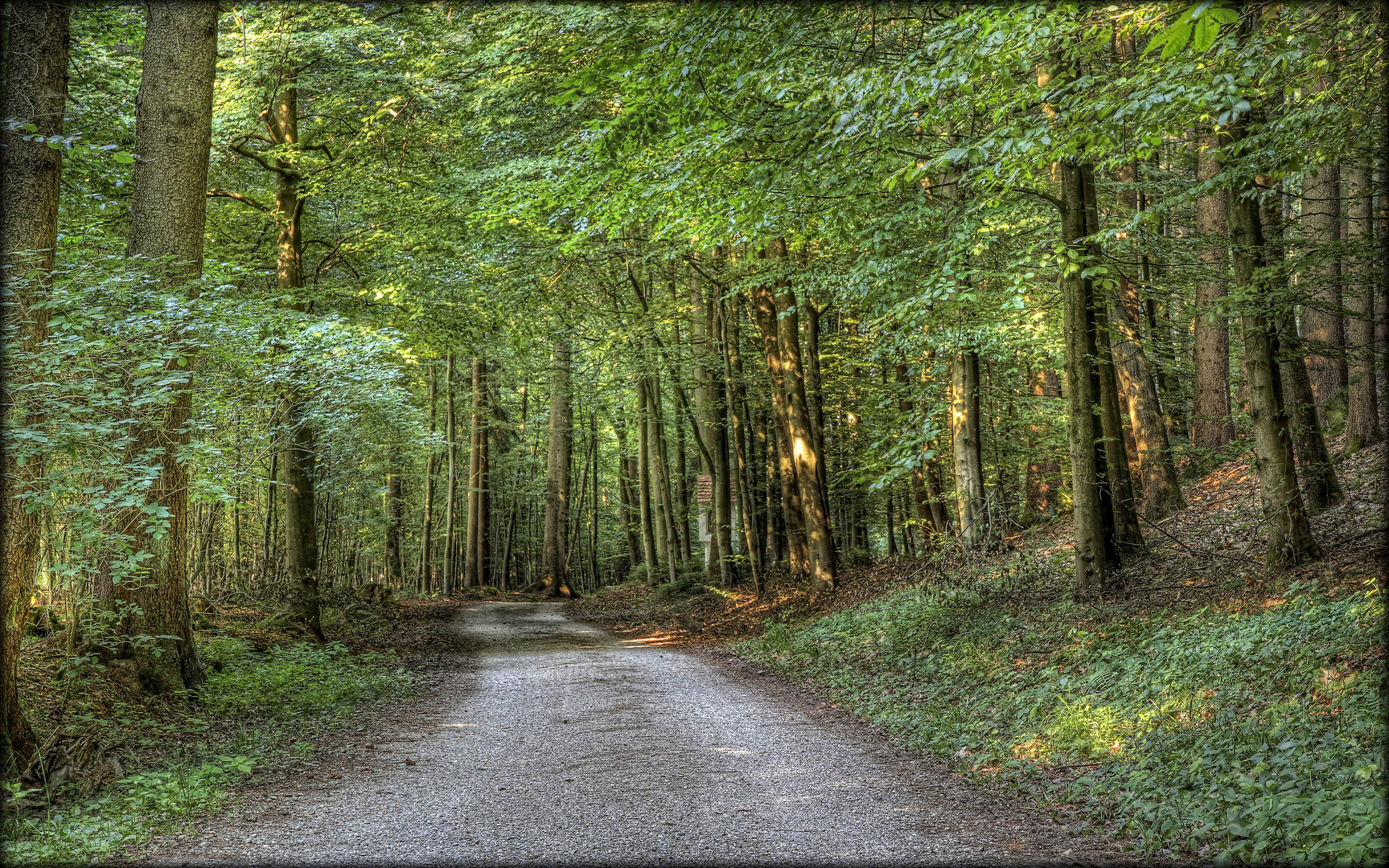 "Grüne Stille"