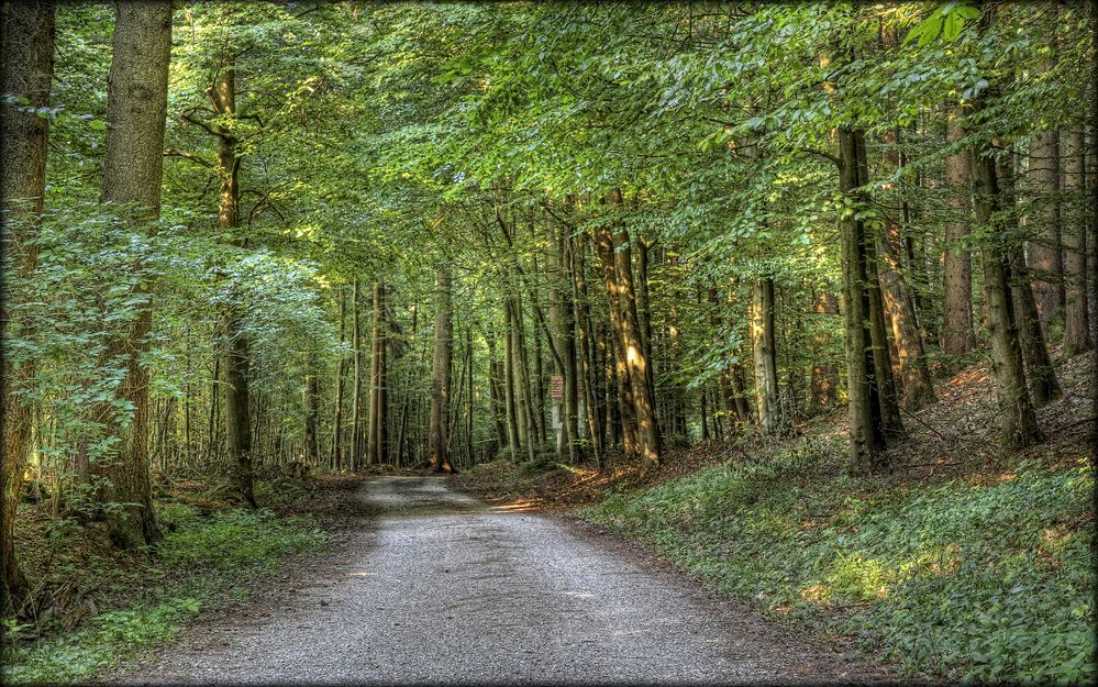 "Grüne Stille"