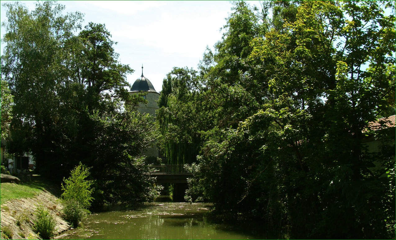 Grüne Stille