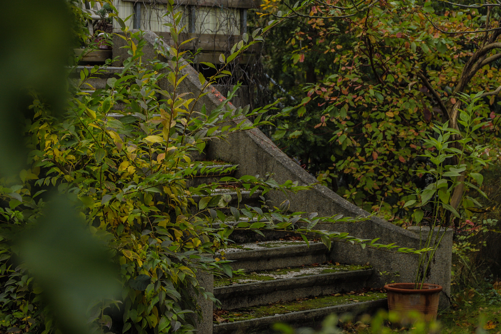 grüne Treppe