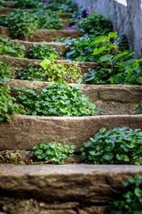 GRÜNE TREPPE