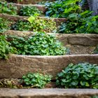 GRÜNE TREPPE