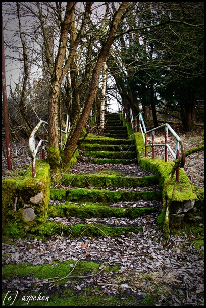 Grüne Treppe