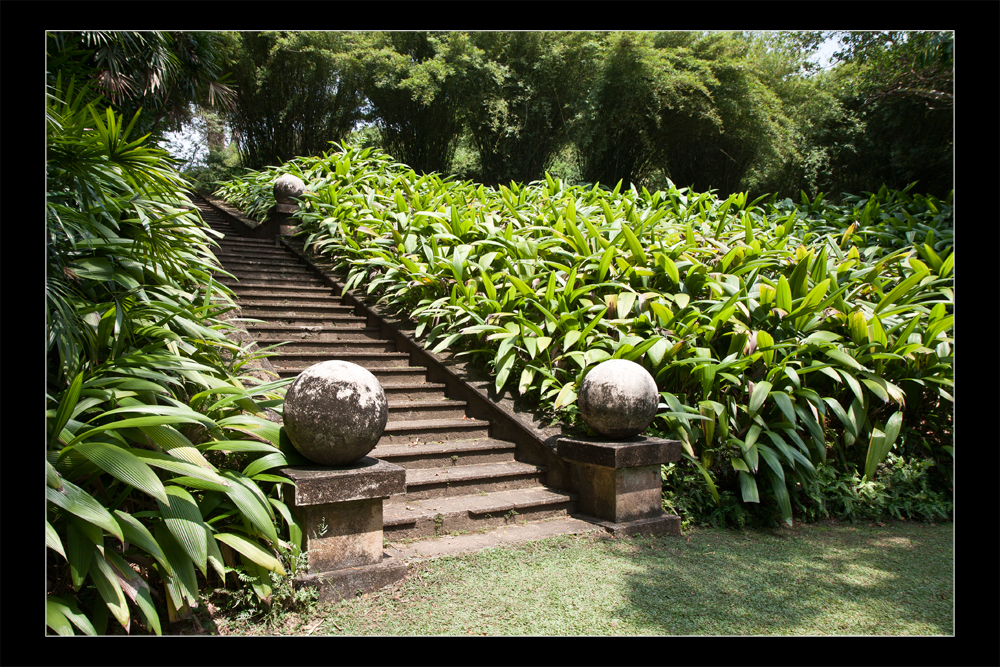 Grüne Treppe