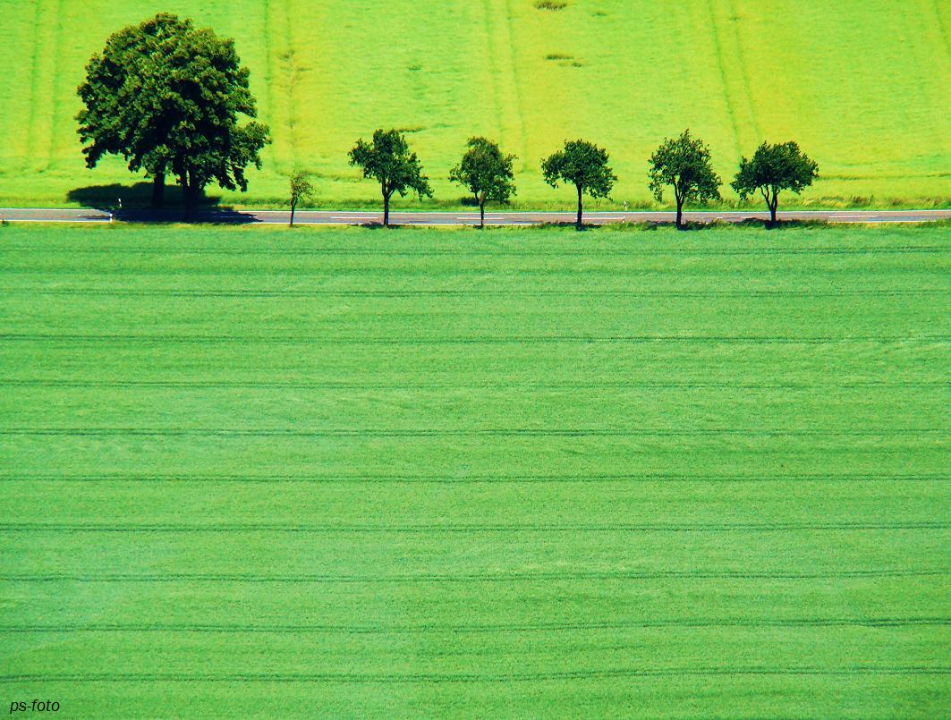 Grüne Wand 2