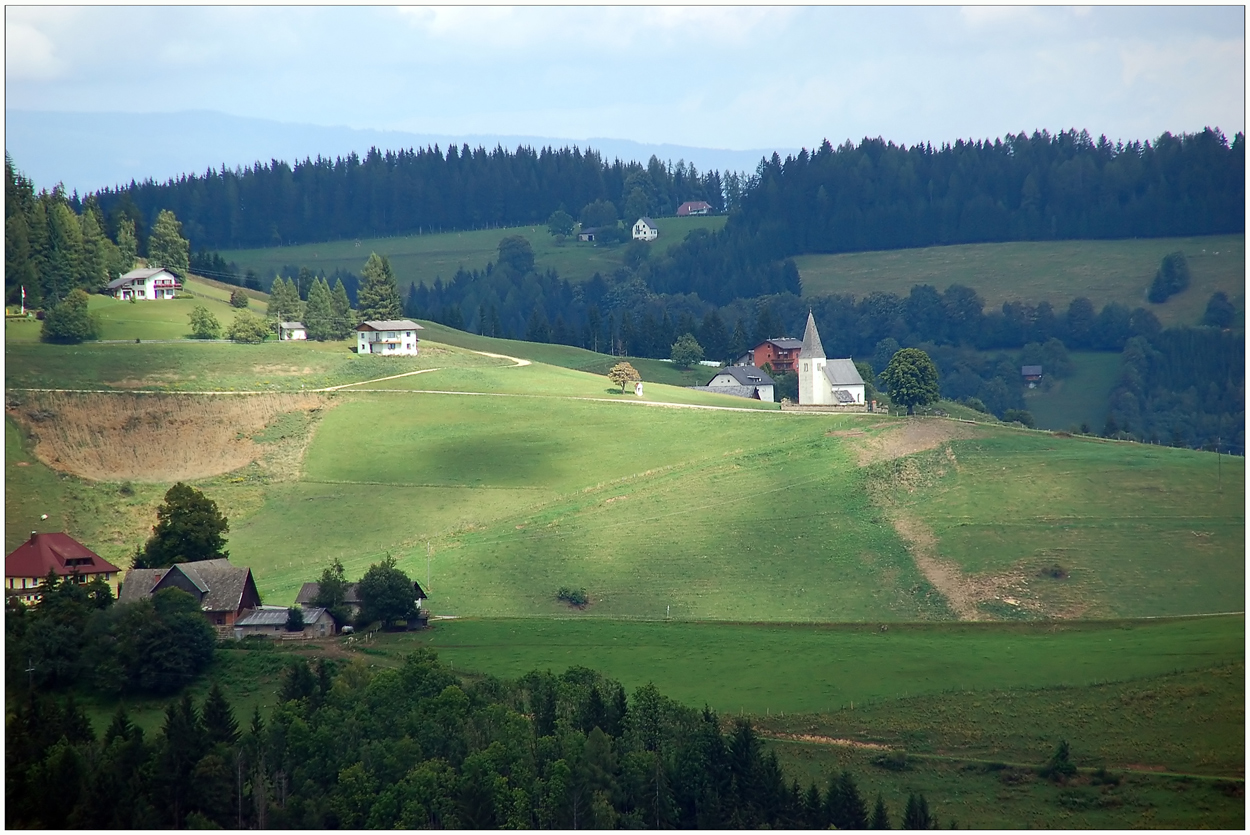 Grüne Weiden