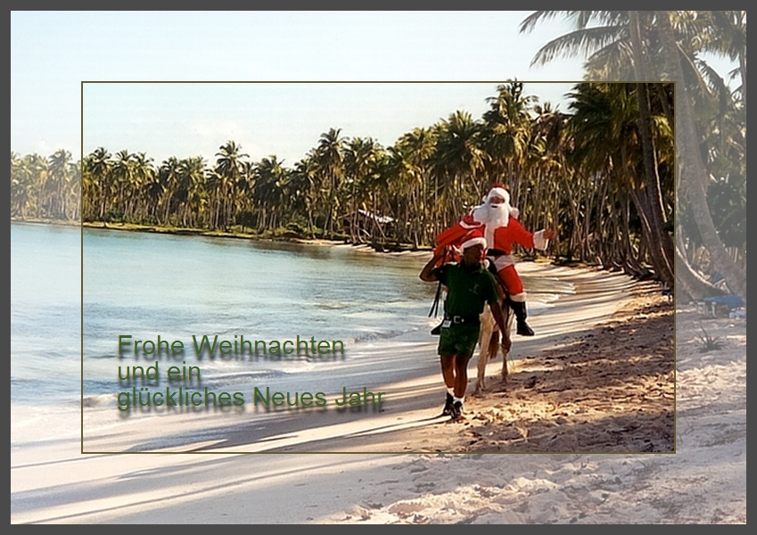 Grüne Weihnachten - nicht nur bei uns