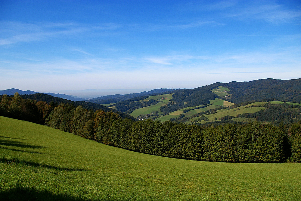 Grüne Welle