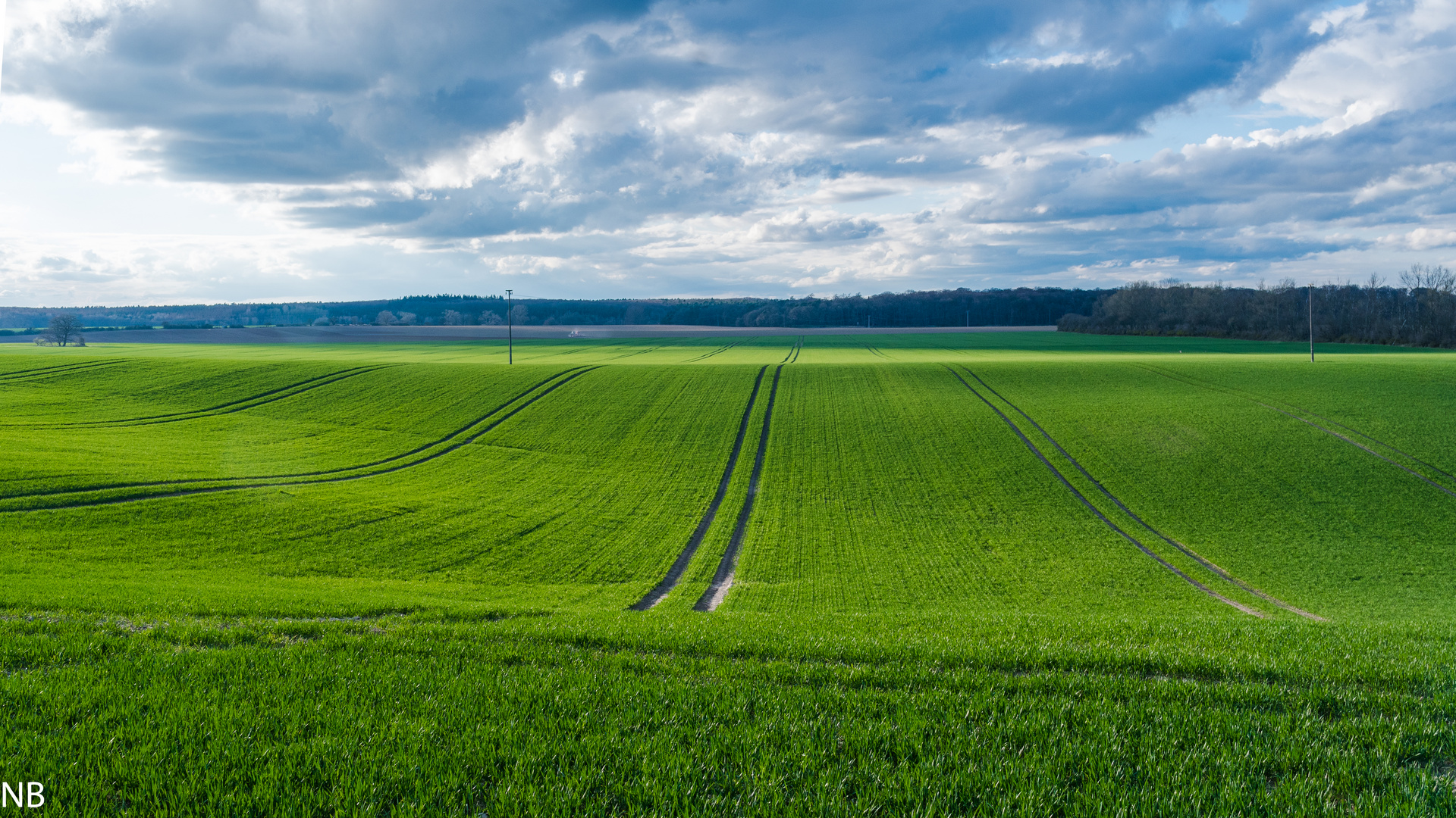 "Grüne Welle II 2024"