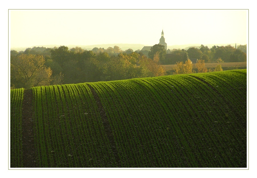 Grüne Welle im Stevertal