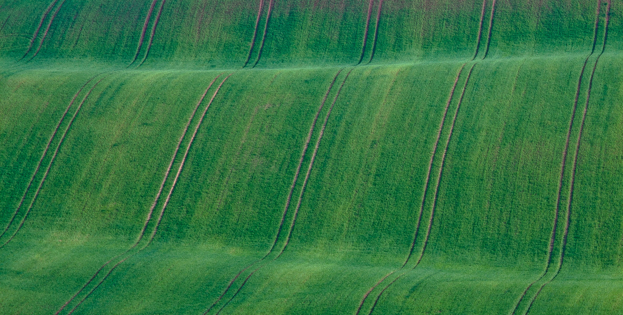 grüne Wellen