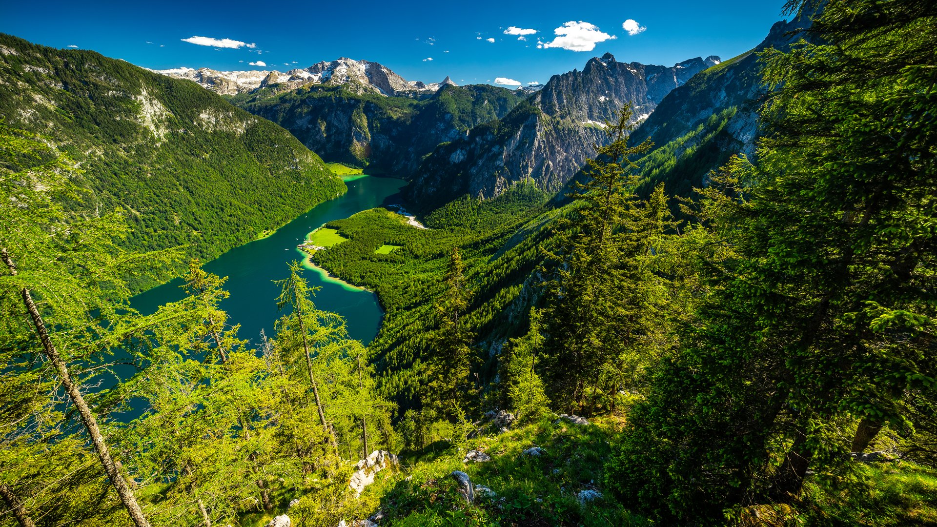 Grüne Welt der Königssee