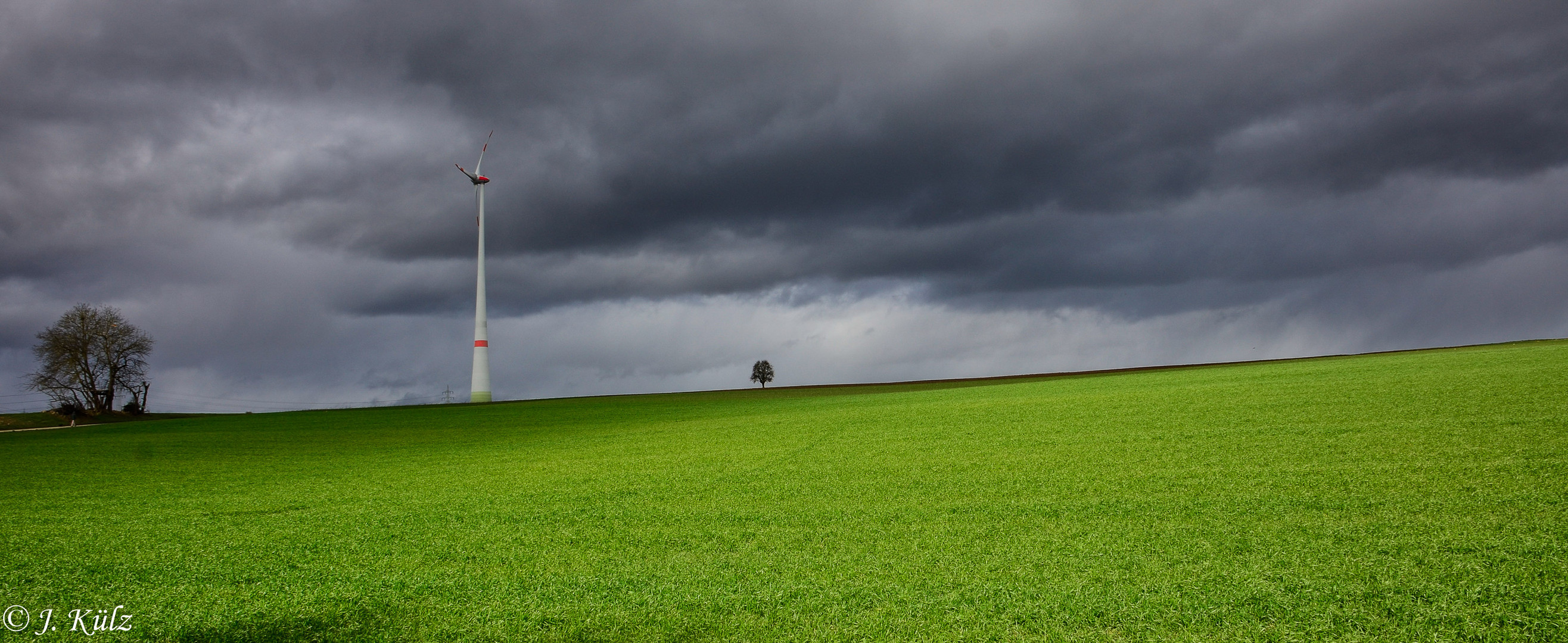 Grüne Wiese