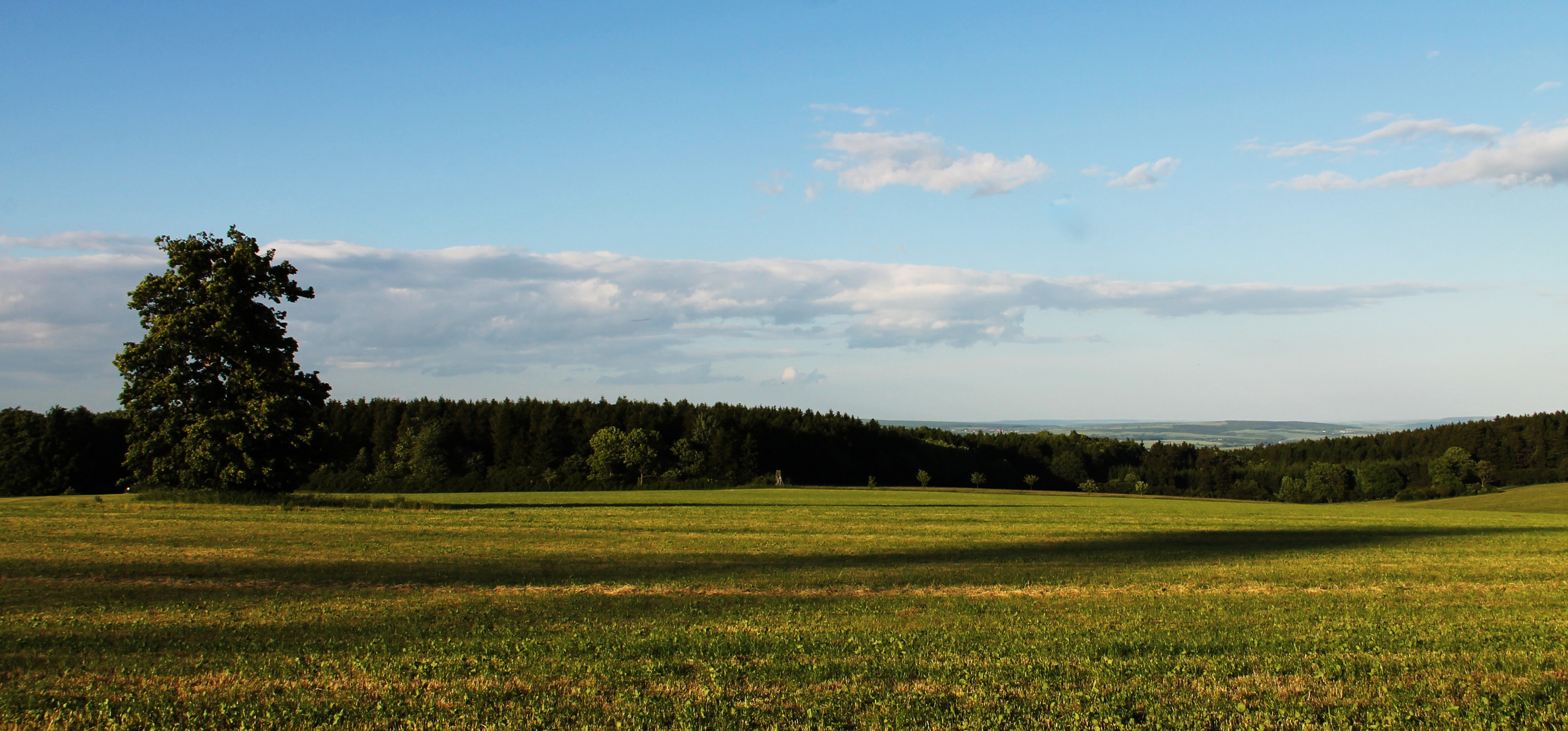 grüne Wiese (: Foto &amp; Bild | landschaft, blumen/natur, natur Bilder auf ...