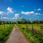 Grüne Wiese Blauer Himmel