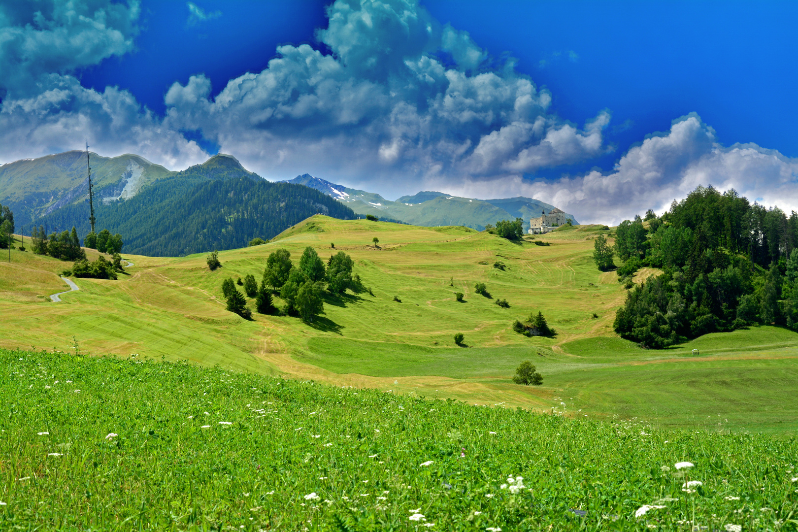 Grüne Wiese im Engadin