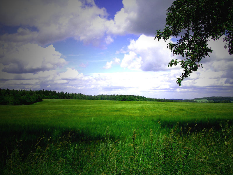 grüne wiese in sachsen Foto &amp; Bild | natur, landschaften, youth Bilder ...