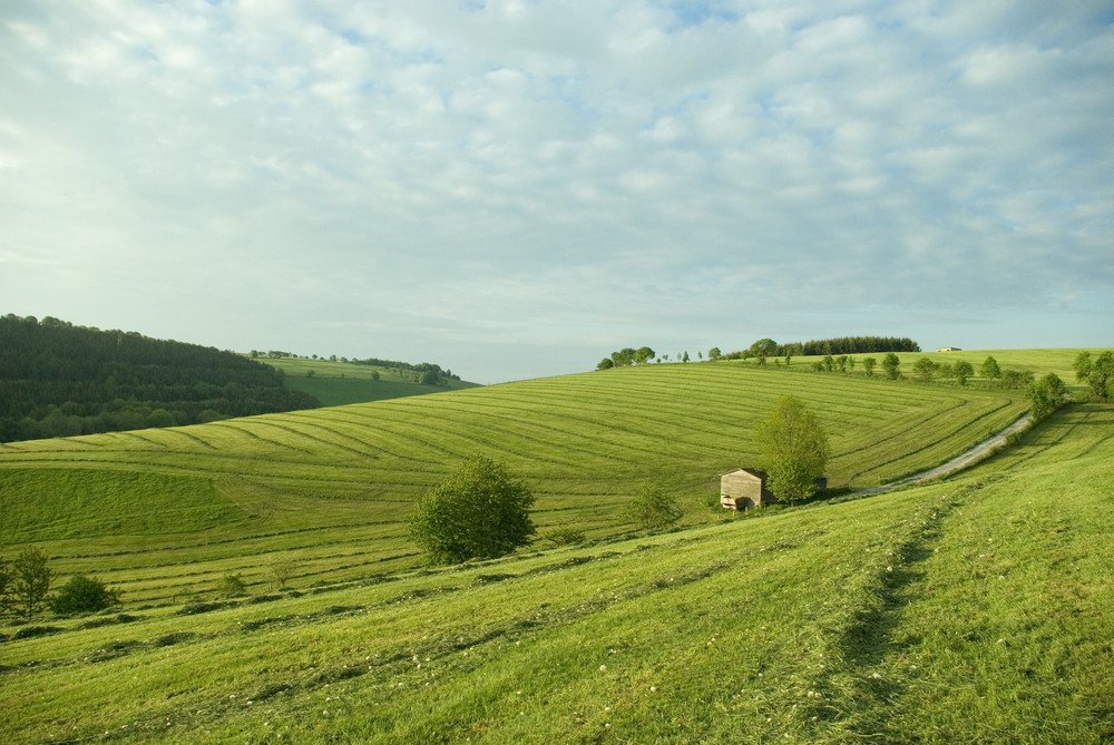 Grüne Wiesen Foto &amp; Bild | landschaft, Äcker, felder &amp; wiesen, natur ...