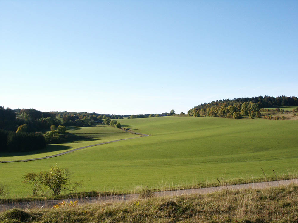 Grüne Wiesen