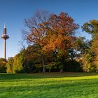 Grüneburgpark Frankfurt