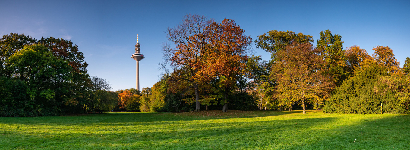 Grüneburgpark Frankfurt