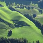 Grünen landschaft im Ziellertal