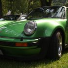 Grüner 911