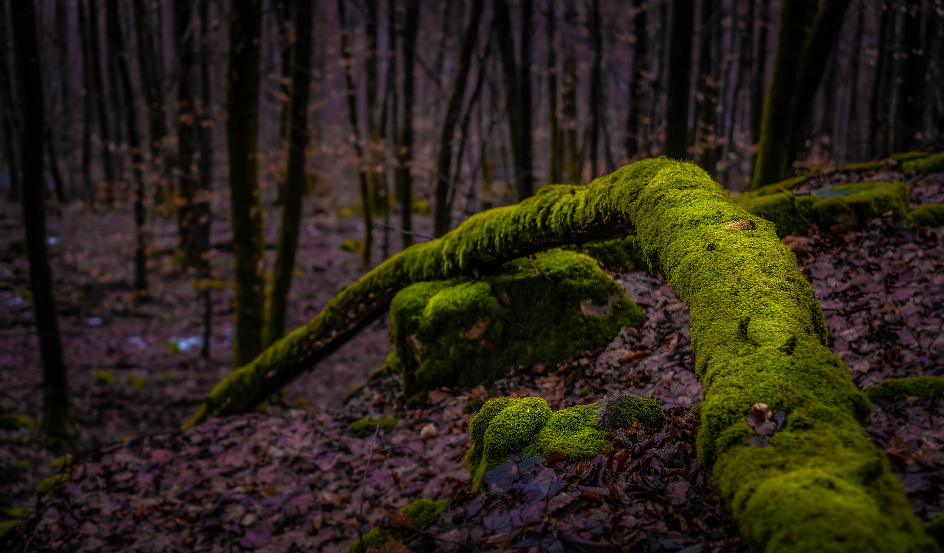 Grüner Arm