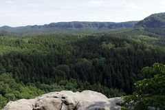 grüner Ausblick