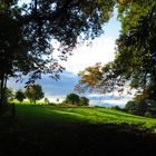 Grüner Ausblick