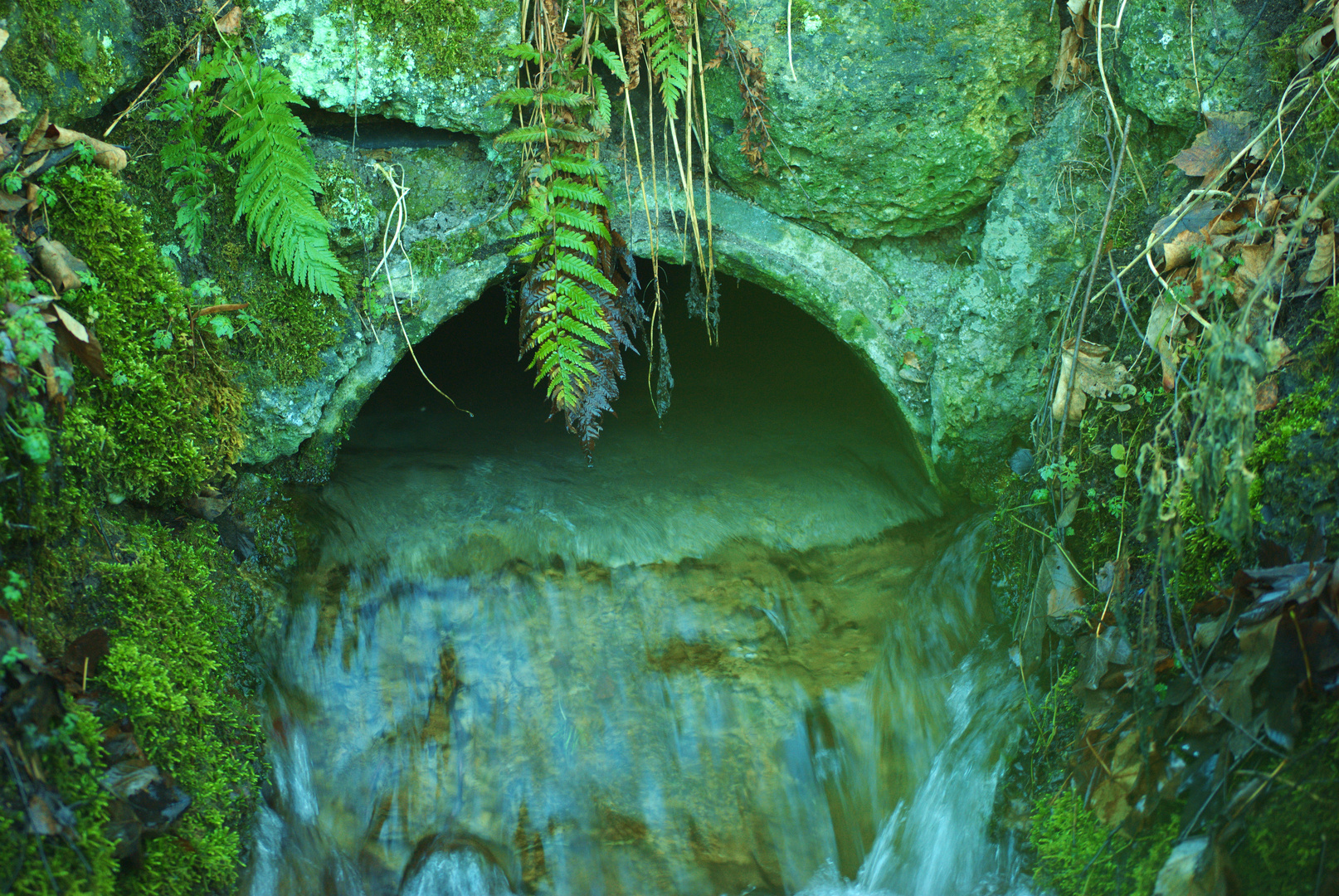 Grüner Bach