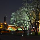 Grüner Baum mal ganz anders