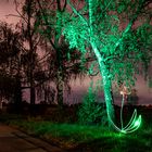 Grüner Baum mit Lichtblume