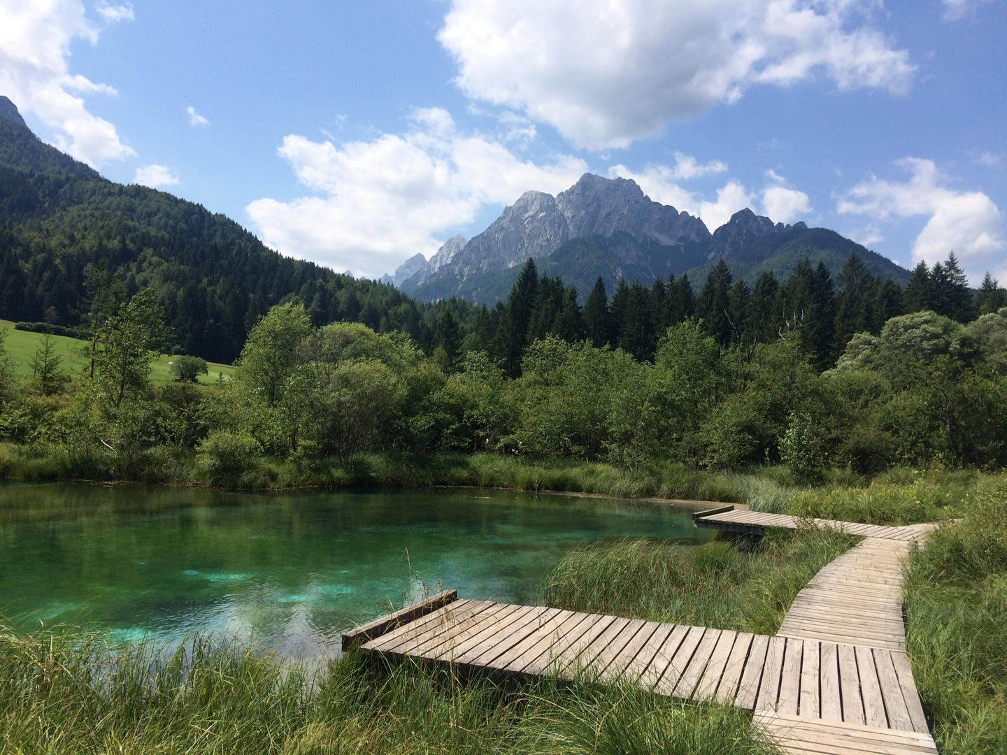 Grüner Bergsee